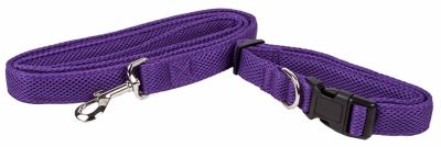 Image showing  Aero Mesh 2-in-1 Dual-Sided Comfortable and Breathable Adjustable Mesh Dog Leash and Collar