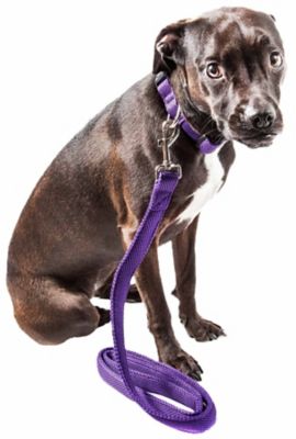 Image showing  Aero Mesh 2-in-1 Dual-Sided Comfortable and Breathable Adjustable Mesh Dog Leash and Collar
