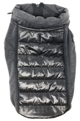 Image showing  Apex Lightweight Hybrid 4-Season Stretch and Quick-Dry Dog Coat with Pop-Out Hood
