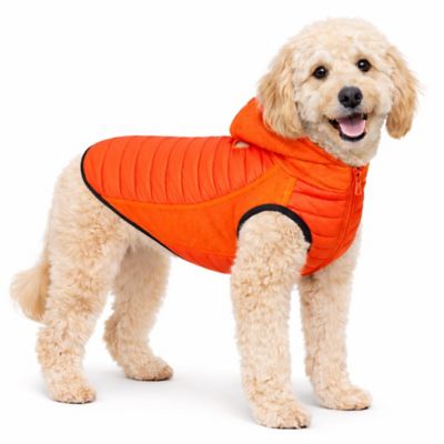 Pet Life Apex Lightweight Hybrid 4-Season Stretch and Quick-Dry Dog ...