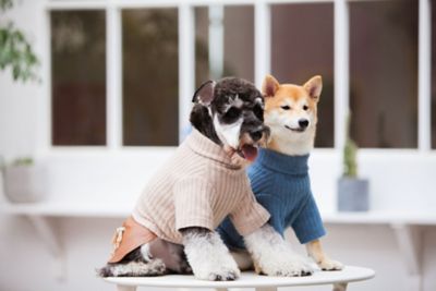 Touchdog ® 'Modress' Fashion Designer Dog Sweater and Dress main image 0