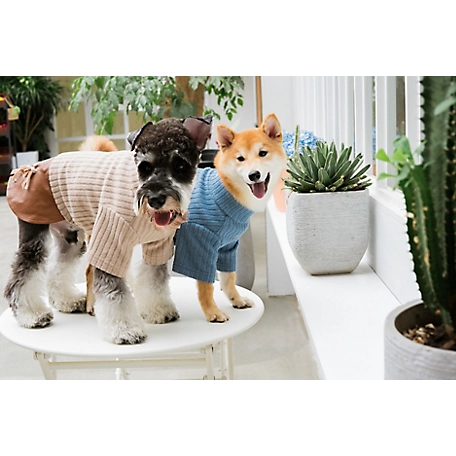 Touchdog Modress Fashion Designer Dog Sweater and Dress