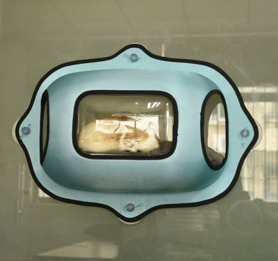 Image showing  Purr-View See-Through Suction Cup Cat Lounger and Bed