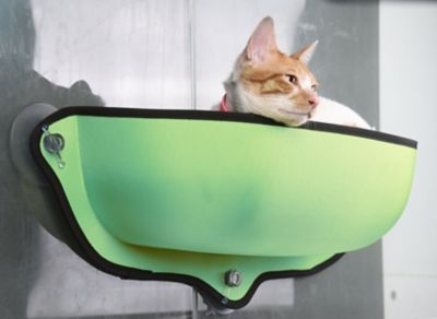 Image showing  Gravity-Lounge Suction Cup Cat Lounger and Bed