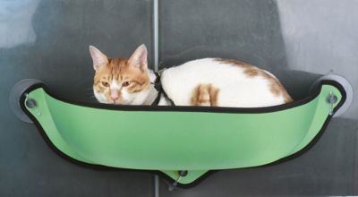 Image showing  Gravity-Lounge Suction Cup Cat Lounger and Bed