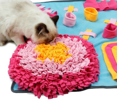 Image showing  Sniffer Snack Interactive Feeding Pet Snuffle Mat