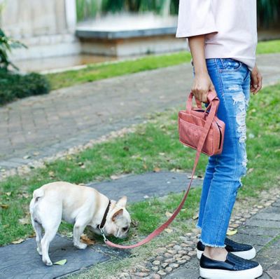 Image showing  Posh Walk Purse Dog Leash Accessory Holder and Waste Bag Dispenser