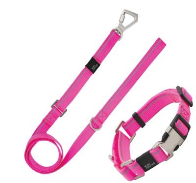 Pet Life Advent Outdoor Series 3M Reflective 2-in-1 Durable Martingale Training Dog Leash and Collar Martingale collar and leash