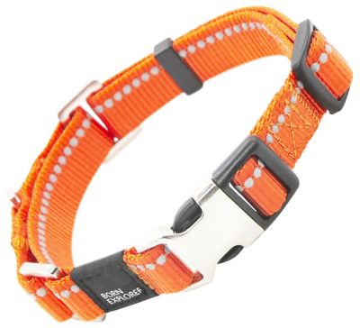 Image showing 1 th Pet Life Advent Outdoor Series 3M Reflective 2-in-1 Durable Martingale Training Dog Leash and Collar
