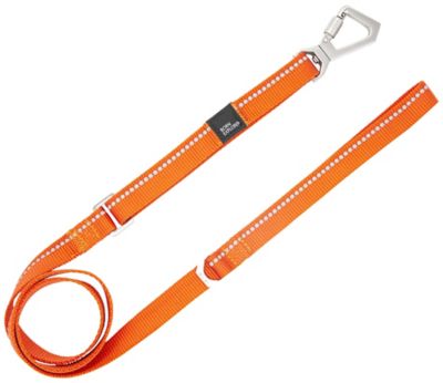 Image showing 2 th Pet Life Advent Outdoor Series 3M Reflective 2-in-1 Durable Martingale Training Dog Leash and Collar