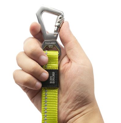 Image showing 3 th Pet Life Advent Outdoor Series 3M Reflective 2-in-1 Durable Martingale Training Dog Leash and Collar