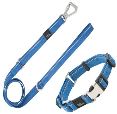 Pet Life Advent Outdoor Series 3M Reflective 2-in-1 Durable Martingale Training Dog Leash and Collar