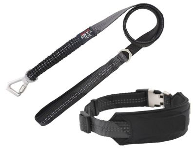 Pet Life Geo-Prene 2-in-1 Shock-Absorbing Neoprene Padded Reflective Dog Leash and Collar