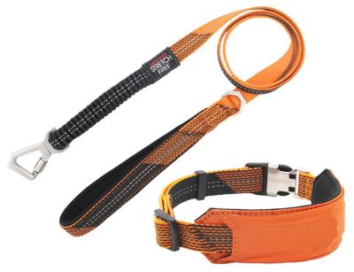 Pet Life Geo-Prene 2-in-1 Shock-Absorbing Neoprene Padded Reflective Dog Leash and Collar
