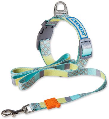 Touchdog Trendzy 2-in-1 Matching Fashion Designer Printed Dog Leash and Collar