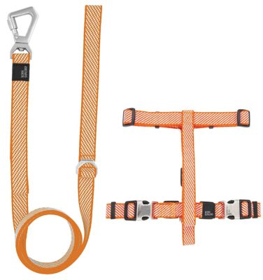 Image showing  Escapade Outdoor Series 2-in-1 Convertible Dog Leash and Harness