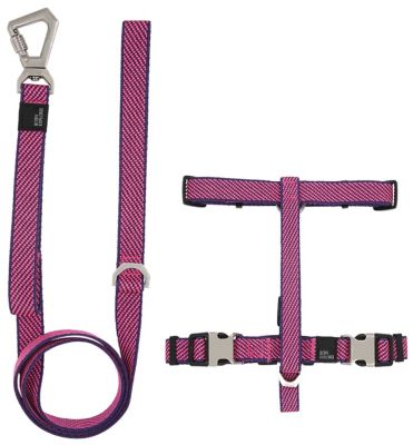 Image showing  Escapade Outdoor Series 2-in-1 Convertible Dog Leash and Harness
