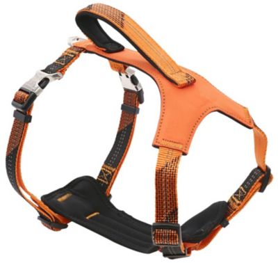 Image showing  Geo-Prene 2-in-1 Shock-Absorbing Neoprene Padded Reflective Dog Leash and Harness