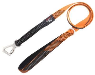 Image showing  Geo-Prene 2-in-1 Shock-Absorbing Neoprene Padded Reflective Dog Leash and Harness