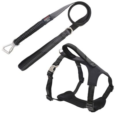 Pet Life Geo-Prene 2-in-1 Shock-Absorbing Neoprene Padded Reflective Dog Leash and Harness