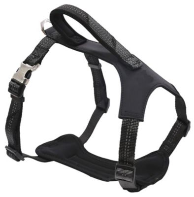 Image showing 1 th Pet Life Geo-Prene 2-in-1 Shock-Absorbing Neoprene Padded Reflective Dog Leash and Harness