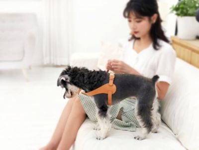 Image showing  Ever-Craft Boutique Series Adjustable Designer Leather Dog Harness