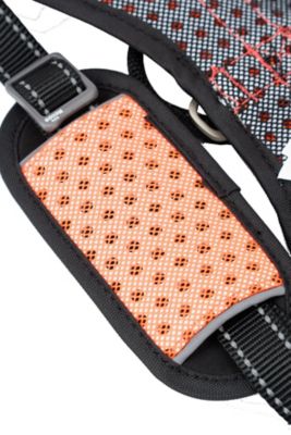 Image showing  Scorpion Sporty High-Performance Free-Range Dog Harness