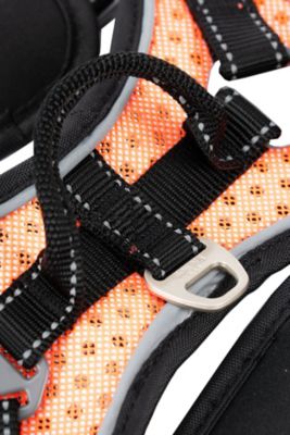Image showing  Scorpion Sporty High-Performance Free-Range Dog Harness