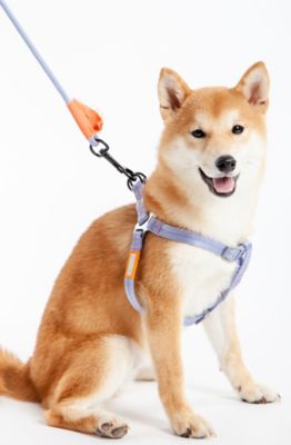 Image showing 2 th Touchdog Macaron 2-in-1 Durable Nylon Dog Harness and Leash