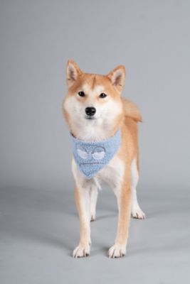 Image showing  Dizzy-Eyed Cyclops Cotton Velcro Dog Bandana and Scarf
