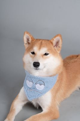 Image showing  Dizzy-Eyed Cyclops Cotton Velcro Dog Bandana and Scarf