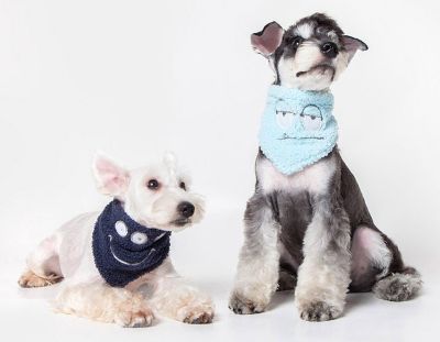 Image showing  Dizzy-Eyed Cyclops Cotton Velcro Dog Bandana and Scarf