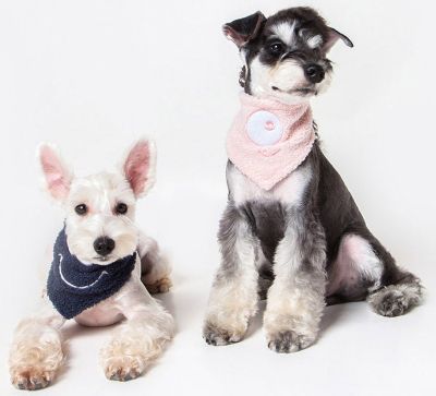 Image showing  Dizzy-Eyed Cyclops Cotton Velcro Dog Bandana and Scarf
