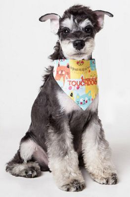 Image showing  Head-Popper Fashion Designer Printed Velcro Dog Bandana