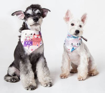 Image showing  Head-Popper Fashion Designer Printed Velcro Dog Bandana