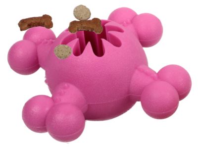 Image showing  Quadra-Bone TPR Treat Dispensing Durable Dog Toy