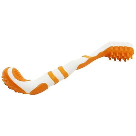 Pet Life Denta-Brush TPR Durable Tooth Brush and Dog Toy