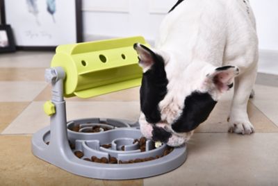 Image showing  Roto Paw IQ Training Interactive Rotating Slow Dog Feeder