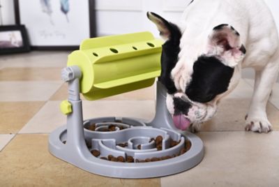 Image showing  Roto Paw IQ Training Interactive Rotating Slow Dog Feeder
