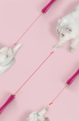 Image showing  Wander-Cat Customizable and Extendable 10-in-1 Attachment Laser Cat Teaser