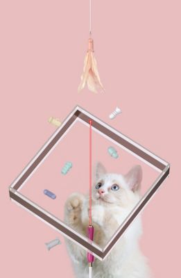 Image showing  Wander-Cat Customizable and Extendable 10-in-1 Attachment Laser Cat Teaser