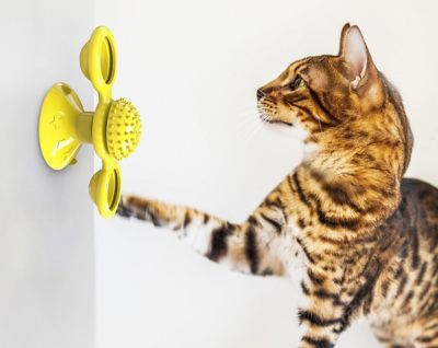 Image showing  Windmill Rotating Suction Cup Spinning Cat Toy, Yellow
