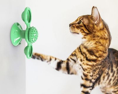Image showing 5 th Pet Life Windmill Rotating Suction Cup Spinning Cat Toy, Green