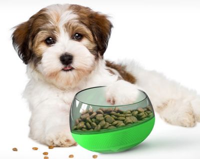 Image showing  Tumbowl Slow Feed ABS Plastic Pet Bowl, 1-Pack