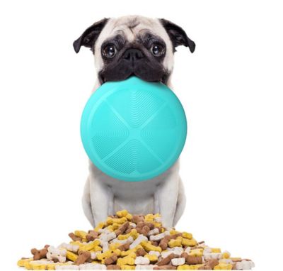 Image showing  Tumbowl Slow Feed ABS Plastic Pet Bowl, 1-Pack