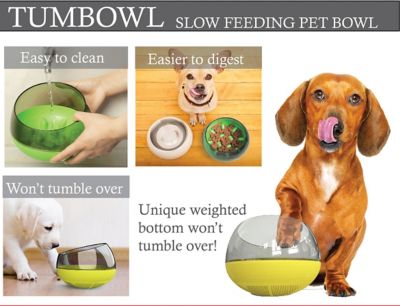 Image showing  Tumbowl Slow Feed ABS Plastic Pet Bowl, 1-Pack
