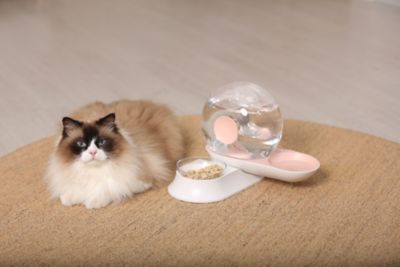 Image showing  Auto-Myst Snail-Shaped 2-in-1 Automated Gravity Pet Filtered Water Dispenser and Food Bowl