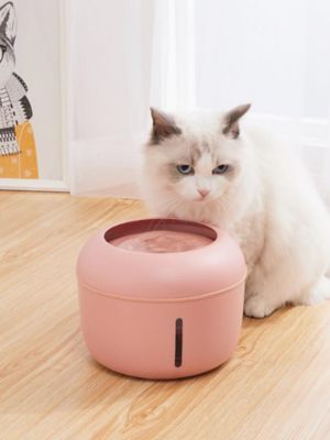 Image showing  Moda-Pure Ultra-Quiet Filtered Dog and Cat Fountain Waterer