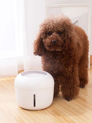 Image showing  Moda-Pure Ultra-Quiet Filtered Dog and Cat Fountain Waterer