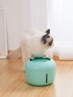 Image showing  Moda-Pure Ultra-Quiet Filtered Dog and Cat Fountain Waterer
